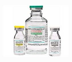 Nafcillin Sodium, Preservative Free 1 Gram Injection Single Dose Vial ...