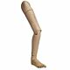 Replacement Geriatric Complete Leg Life/Form®