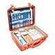 EMS Case Pelican 1500 Orange Copolymer / Polypropylene / Foam 18.5 X 14.06 X 6.93 Inch